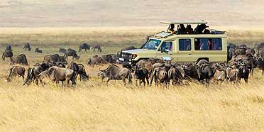 Best Time to Travel to Tanzania