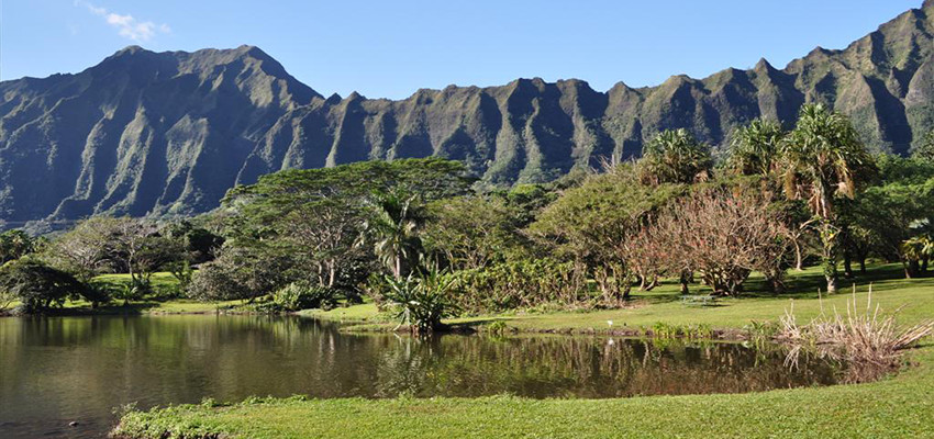 Hoomaluhia Botanical Garden