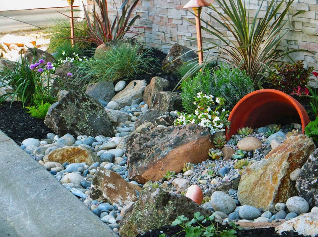 Rock Garden Ideas