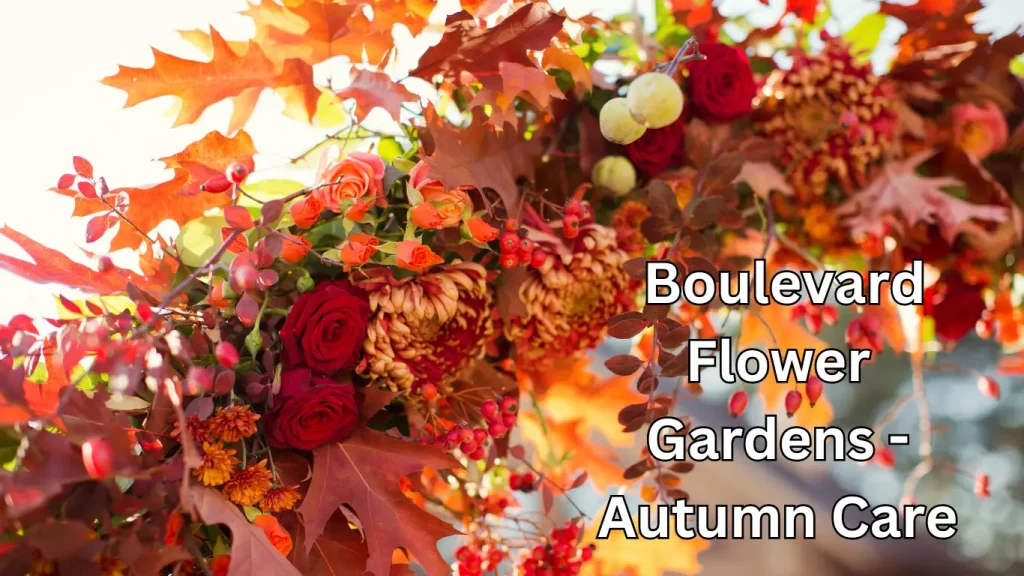 Boulevard Flower Gardens Autumn Care