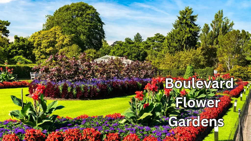 Designing-A-Boulevard-Flower-Garden