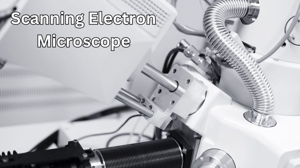 Scanning Electron Microscope