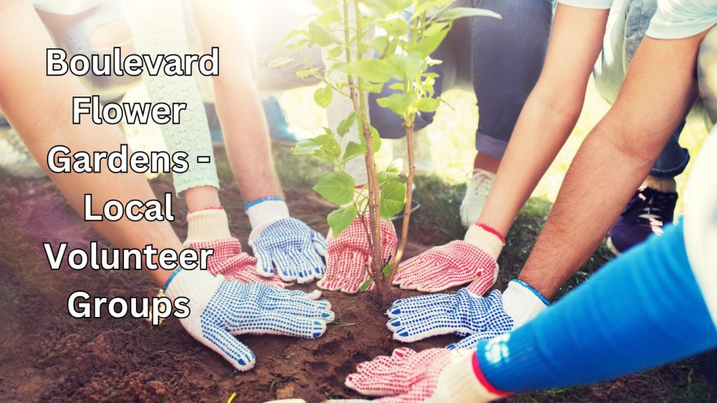 Community Involvement In Boulevard Gardening