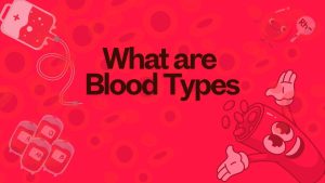 What are Blood Types