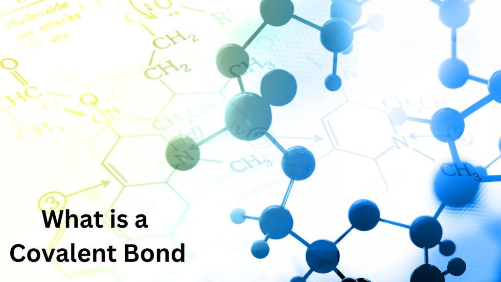 What is a Covalent Bond